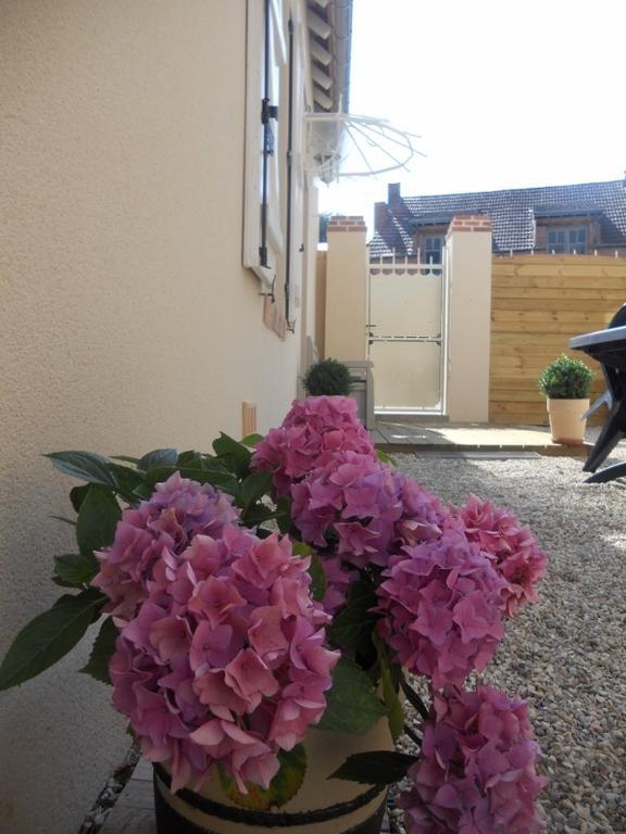 Les Palerees, Petite Maison Au Coeur De La Sologne Des Etangs Saint-Viatre